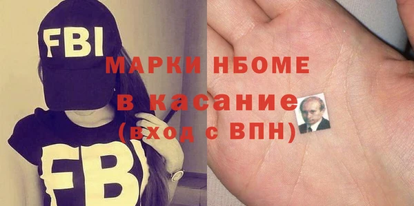 молекула духа Снежногорск