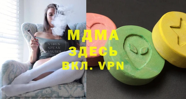 мдпв Бородино