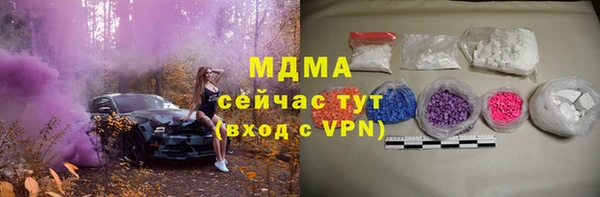 мдпв Бородино