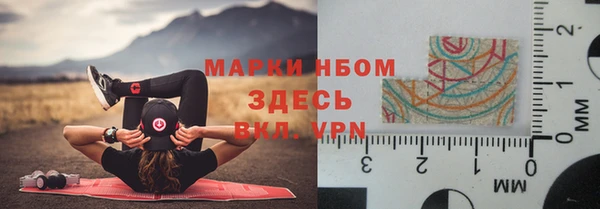 мдпв Бородино
