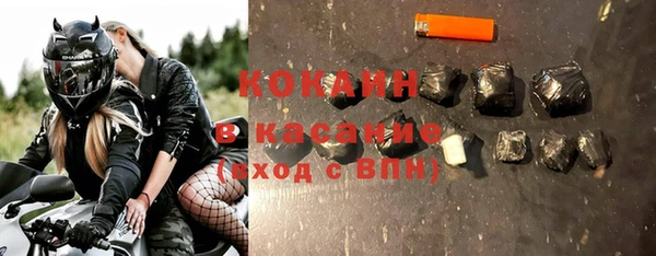 мдпв Бородино