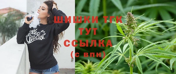 мдпв Бородино